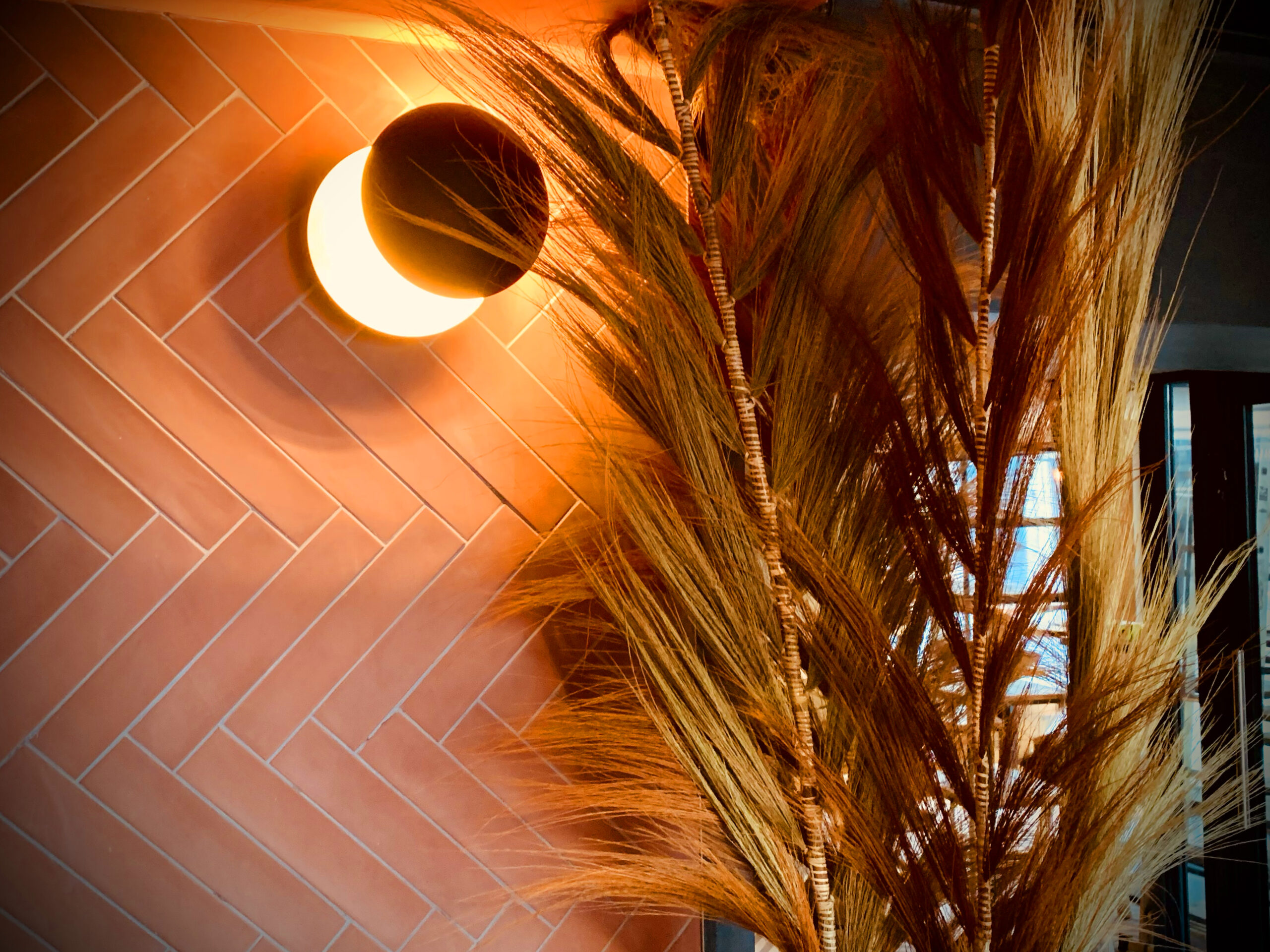 chognard-trifilo-architectes-JOUY-EN-JOSAS--1